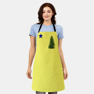 Maine old flag (1901) schort