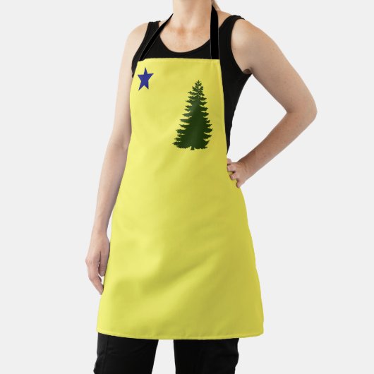 Maine old flag (1901) schort (Insitu)