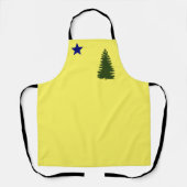 Maine old flag (1901) schort (Voorkant)