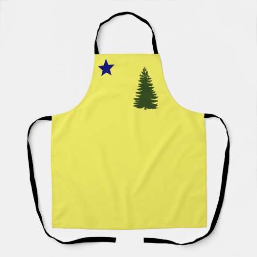 Maine old flag (1901) schort (Voorkant)