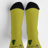 Maine old flag (1901) sokken (Top)