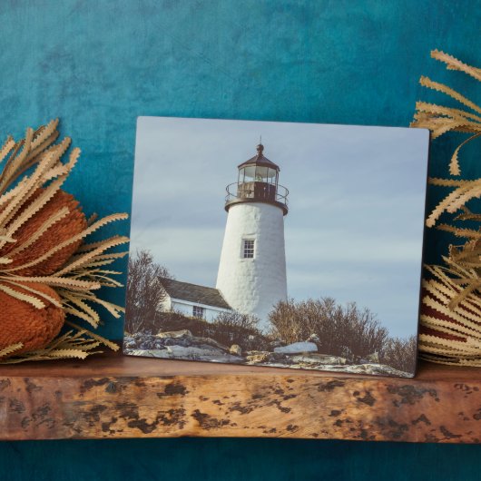 Maine Pemaquid Point Lighthouse Fotoplaat (Zijkant)
