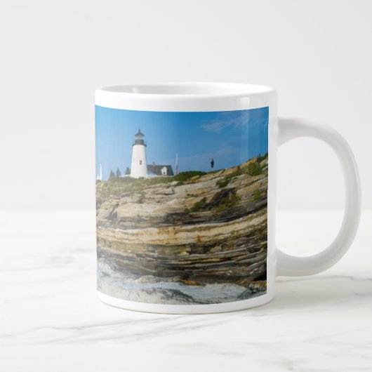 Maine, Pemaquid Point, Pemaquid Point Lighthouse Grote Koffiekop (Rechts)