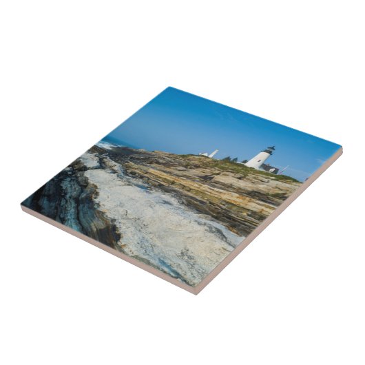 Maine, Pemaquid Point, Pemaquid Point Lighthouse Tegeltje (Zijkant)