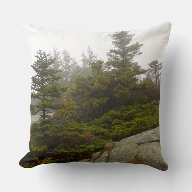 Maine Pine Boulders Acadia Foto Kussen (Voorkant)