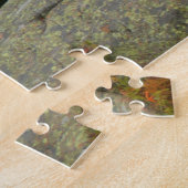 Maine Pine Boulders Acadia Foto Legpuzzel (Zijkant)