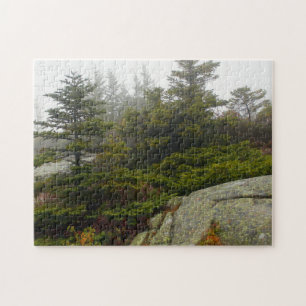 Maine Pine Boulders Acadia Foto Legpuzzel