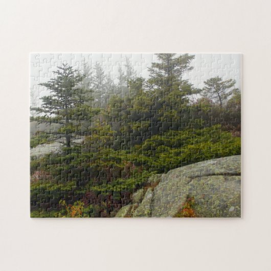 Maine Pine Boulders Acadia Foto Legpuzzel (Horizontaal)