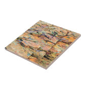 Maine Rocks Colorful Natuur Tegeltje (Zijkant)