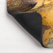 Maine Rocks Natuur Coastal Muismat (Hoek)