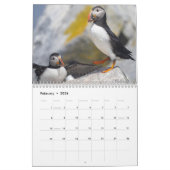 Maine’s Atlantic Puffins: Coasting Into 2026  Kalender (Feb 2026)