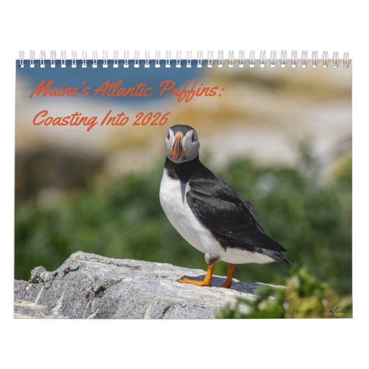 Maine’s Atlantic Puffins: Coasting Into 2026  Kalender (Hoes)