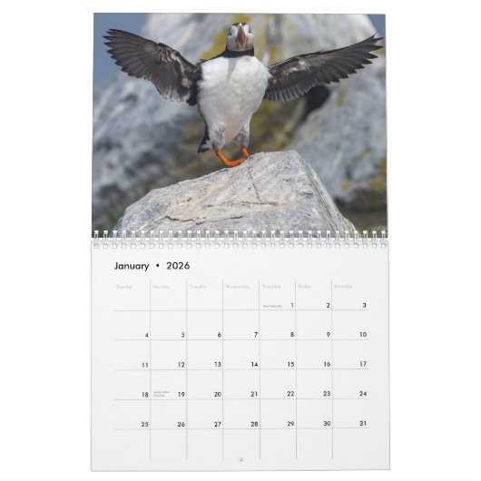 Maine’s Atlantic Puffins: Coasting Into 2026  Kalender (Jan 2026)