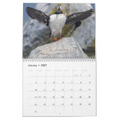 Maine’s Atlantic Puffins: Coasting Into 2026  Kalender (Jan 2027)