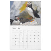Maine’s Atlantic Puffins: Coasting Into 2026  Kalender (Feb 2027)