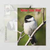 Maine State Bird - Black-capped Chickadee Briefkaart (Voorkant / Achterkant)