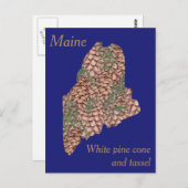 Maine State Flower Collage Map Briefkaart (Voorkant / Achterkant)