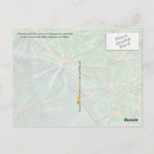 Maine State Flower: White Pine Cone en Tassel Briefkaart (Achterkant)