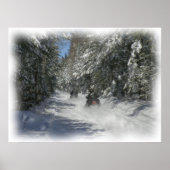 Maine Trail Poster (Voorkant)