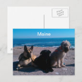 Maine Vacation Briefkaart (Voorkant / Achterkant)