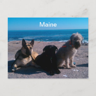 Maine Vacation Briefkaart