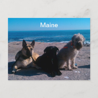 Maine Vacation Briefkaart