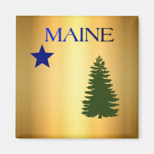 Maine-vlag (1901) magneet
