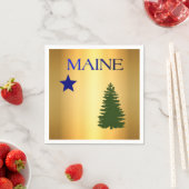 Maine-vlag (1901) servet (Insitu)