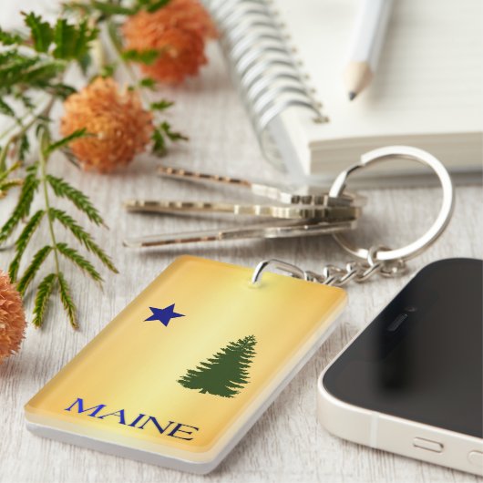 Maine-vlag (1901) sleutelhanger (Voorkant Rechts)