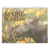 Maine Wild Life Agenda 2013 Kalender (Hoes)