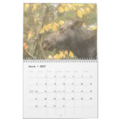 Maine Wild Life Agenda 2013 Kalender (Mar 2027)