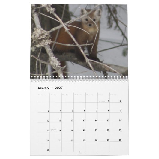 Maine Wild Life Agenda 2013 Kalender (Jan 2027)