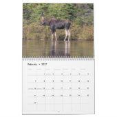 Maine Wild Life Agenda 2013 Kalender (Feb 2027)