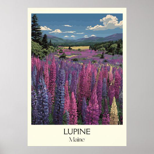 Maine Wild Lupine Bloemen Landschap Reizen Kunst Poster (Voorkant)