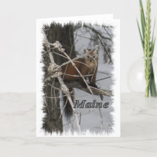 Maine Wildlife - Pine Marten Feestdagen Kaart