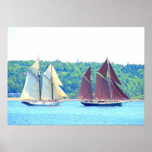 Maine windjammers zeilen poster (Voorkant)