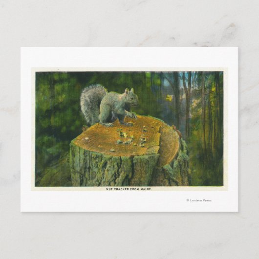 MaineA Little Nutcracker Squirrel uit Maine Briefkaart (Voorkant)