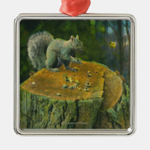 MaineA Little Nutcracker Squirrel uit Maine Metalen Ornament