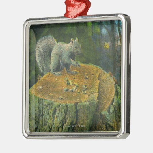 MaineA Little Nutcracker Squirrel uit Maine Metalen Ornament (Links)