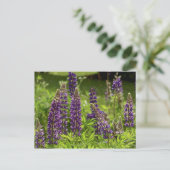Maïnebloemen Briefkaart (Staand voorkant)