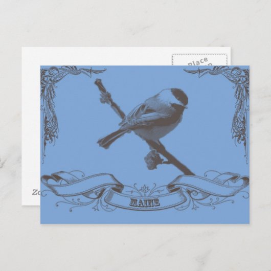 mainechickadee briefkaart (Voorkant / Achterkant)