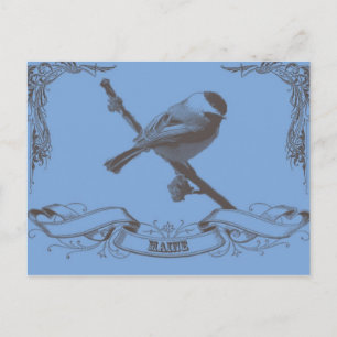 mainechickadee briefkaart