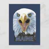 MaineEagle Up Close Briefkaart (Voorkant)