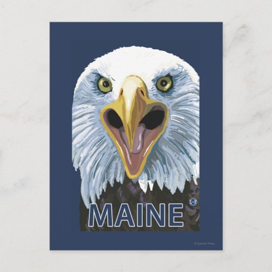 MaineEagle Up Close Briefkaart (Voorkant)
