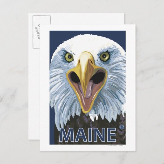 MaineEagle Up Close Briefkaart (Voorkant / Achterkant)