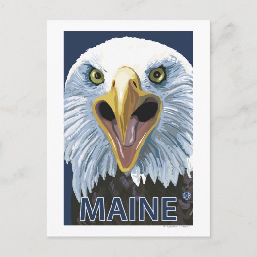 MaineEagle Up Close Briefkaart (Voorkant)