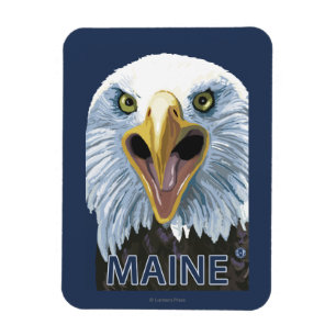 MaineEagle Up Close Magneet