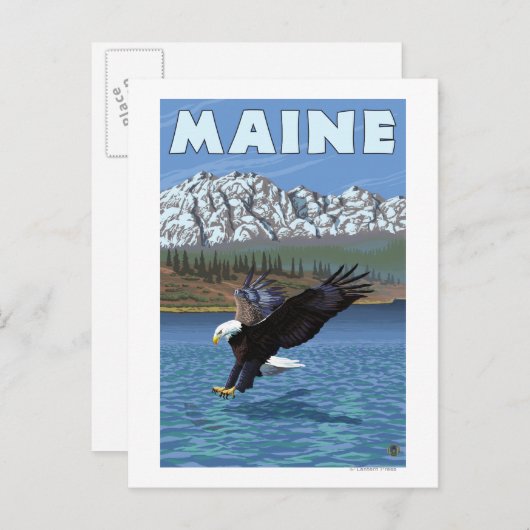 MaineEagle Vist Briefkaart (Voorkant / Achterkant)