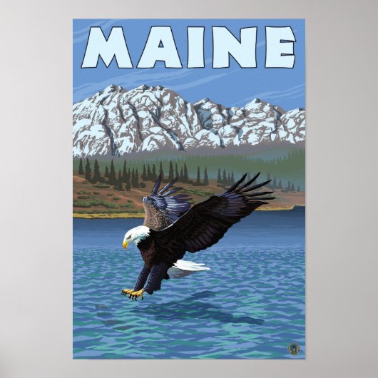 MaineEagle Vist Poster (Voorkant)