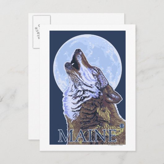 MaineHowling Wolf Briefkaart (Voorkant / Achterkant)